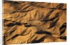 The desert near the Dead Sea. by Anonymous