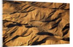 The desert near the Dead Sea. by Anonymous