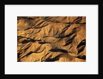 The desert near the Dead Sea. by Anonymous