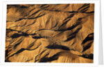 The desert near the Dead Sea. by Anonymous
