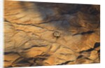 The desert near the Dead Sea. by Anonymous