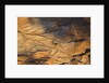The desert near the Dead Sea. by Anonymous