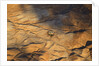 The desert near the Dead Sea. by Anonymous