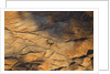 The desert near the Dead Sea. by Anonymous