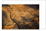 The desert near the Dead Sea. by Anonymous