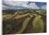 Working a field near Manciano, air view by drone by Anonymous