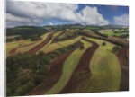 Working a field near Manciano, air view by drone by Anonymous