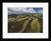 Working a field near Manciano, air view by drone by Anonymous