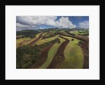Working a field near Manciano, air view by drone by Anonymous