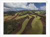 Working a field near Manciano, air view by drone by Anonymous