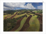 Working a field near Manciano, air view by drone by Anonymous