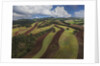 Working a field near Manciano, air view by drone by Anonymous