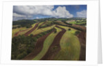Working a field near Manciano, air view by drone by Anonymous