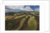 Working a field near Manciano, air view by drone by Anonymous
