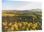 Orcia river near Pienza, air view by drone by Anonymous