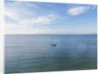 Cala Violina, drone air view by Anonymous