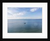 Cala Violina, drone air view by Anonymous