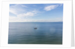 Cala Violina, drone air view by Anonymous