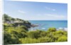 Quercianella, the coast and the beach by Anonymous