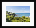 Quercianella, the coast and the beach by Anonymous