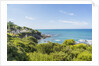 Quercianella, the coast and the beach by Anonymous