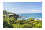 Quercianella, the coast and the beach by Anonymous