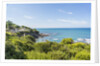 Quercianella, the coast and the beach by Anonymous