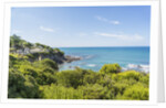 Quercianella, the coast and the beach by Anonymous