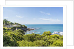 Quercianella, the coast and the beach by Anonymous