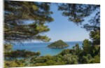 Isolotto di Porto Ercole by Anonymous