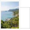 Il Purgatorio, the beach and the coast by Anonymous