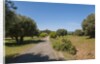 Parco Regionale della Maremma (parco dell'Uccellina) by Anonymous