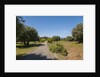 Parco Regionale della Maremma (parco dell'Uccellina) by Anonymous