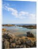 Mar Morto beach by Anonymous
