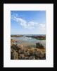 Mar Morto beach by Anonymous