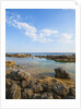 Mar Morto beach by Anonymous