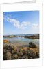 Mar Morto beach by Anonymous