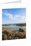 Mar Morto beach by Anonymous