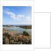 Mar Morto beach by Anonymous