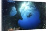 scuba diver swimming through an arch by Anonymous