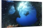 scuba diver swimming through an arch by Anonymous
