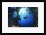 scuba diver swimming through an arch by Anonymous