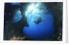 scuba diver swimming through an arch by Anonymous