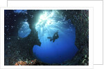 scuba diver swimming through an arch by Anonymous