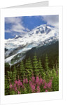 Fireweed flowers below Mt. Baker by Anonymous