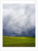 Spring Field of Peas With Storm Coming by Anonymous