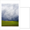 Spring Field of Peas With Storm Coming by Anonymous