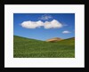 Spring Wheat Field and Clouds by Anonymous