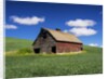Old Red Barn in a Field of Spring Wheat by Anonymous
