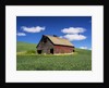 Old Red Barn in a Field of Spring Wheat by Anonymous